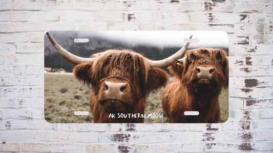 Highland Cow - License Plate
