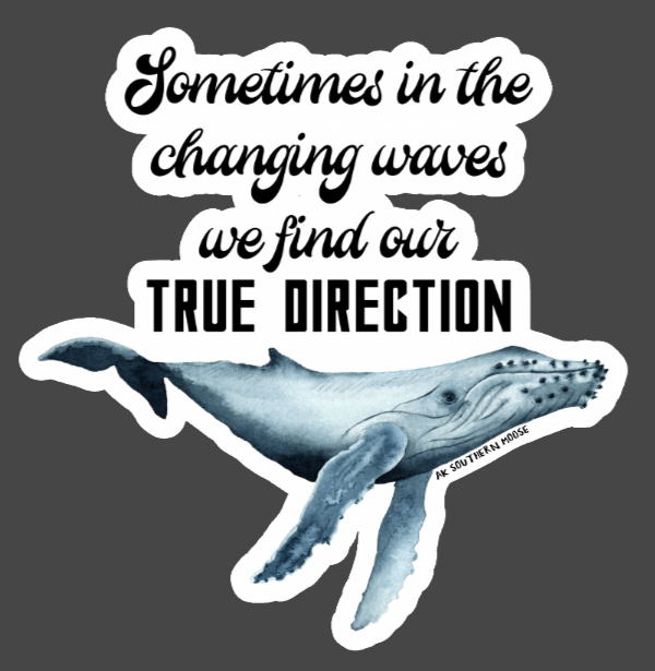 True Direction