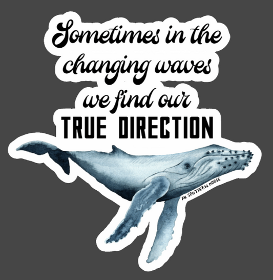 True Direction